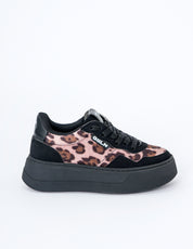 DAKOTA Wild Maculato